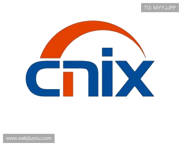 ag九游官网进入网页版的安全性分析，保障玩家个人信息与游戏体验安全